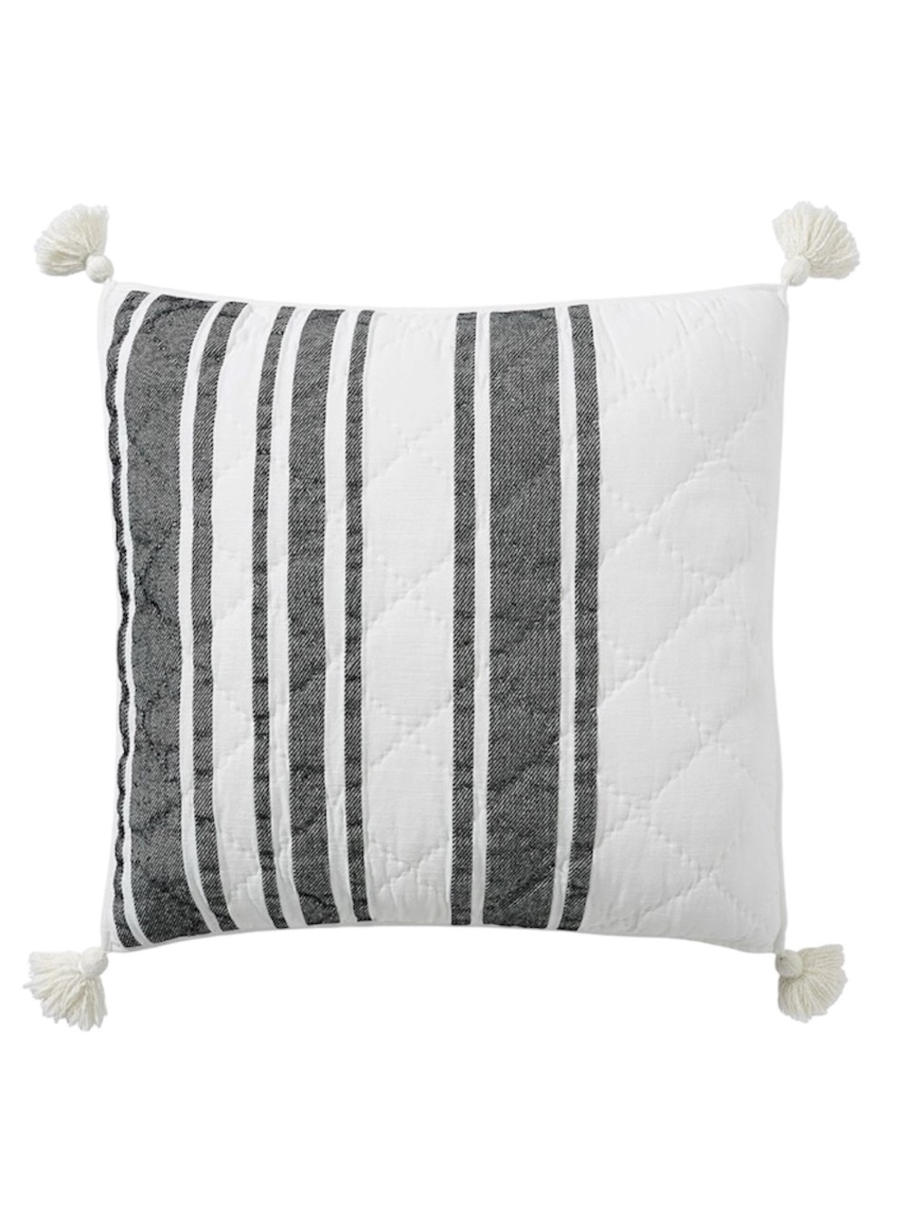 Pottery Barn Mesa Striped Tassel Throw Pillow Sham-  King Size Set of Two